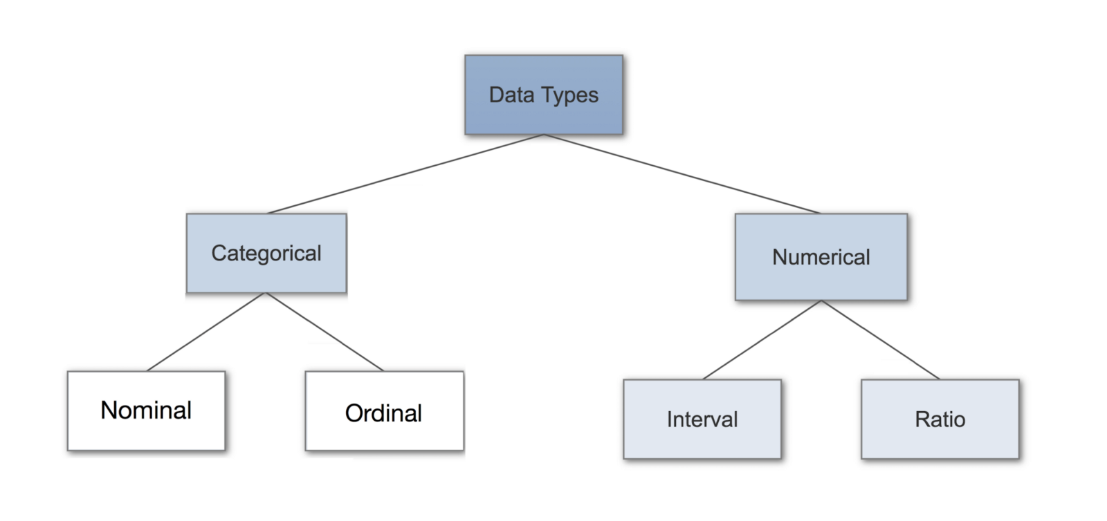types of data varaibles in statistics